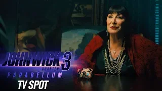 John Wick: Chapter 3 – Parabellum (2019 Movie) Official TV Spot “Incredible” – Keanu Reeves