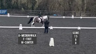 Novice 24 Dressage Test - 78.91%