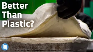 Is Mycelium Fungus the Plastic of the Future?