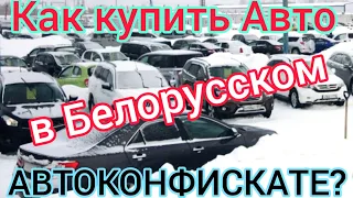 КАК и ГДЕ можно покупать КОНФИСКОВАННЫЕ АВТО в БЕЛАРУСИ? Обзор САЙТА по продаже АВТО-КОНФИСКАТА