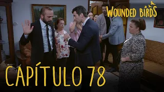 Wounded Birds (Yaralı Kuşlar) | Capítulo 78 en Español