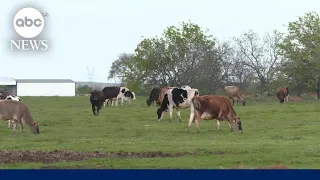 CDC issues bird flu alert