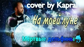 МЁРТВЫЕ ДЕЛЬФИНЫ - НА МОЕЙ ЛУНЕ.. (cover by Kapral)