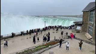 🔴 Live Stream from Niagara Falls walk to Magnolia Alley and Magnolia Blossoms