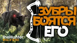 the hunter COTW - Зубры его боятся - Охота с лука - Прицел с дальномером - 2022