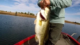 GIANT 10 lb. Bass!!