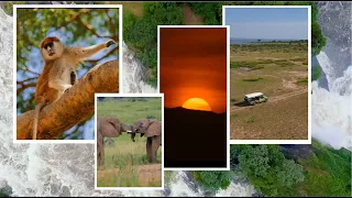 Murchison Falls National Park  - Uganda's Largest National Park | Uganda National Parks
