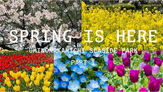 [4k] Spring 2022 is Here Part 1 | A Day with Flowers | Uminonakamichi Seaside Park | Fukuoka | Japan