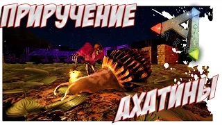 ARK  Survival Evolved - ПРИРУЧЕНИЕ АХАТИНЫ. УЛИТКА.