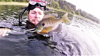 Northern Wisconsin Spearing Bluegill and Crappie!