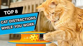 8 Ways to Keep Your Cat Busy While You're at Work