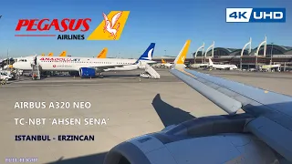 4K Airbus A320 Neo Pegasus Airlines / İstanbul- Erzincan Full Flight