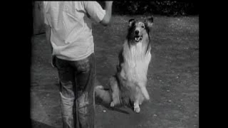 Lassie - Episode 30 - "The Dog Show" (Season 2, #4 - 10/02/1955)