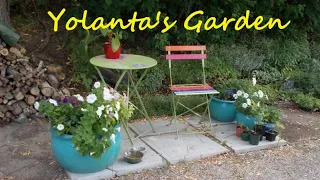 Yolanta's Garden: how to create a beautiful garden in a limited space with a limited budget