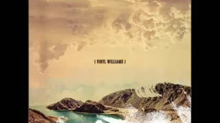 Vinyl Williams - Pseudo ersatz