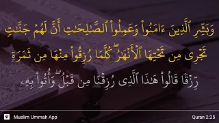 Al-Baqarah ayat 25