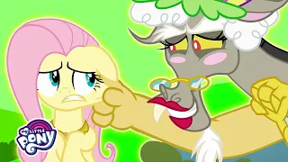 My Little Pony | Fluttershy’s Home for Reformed Draconequi  | My Little Pony Friendship is Magic