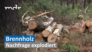 Brennholz-Nachfrage explodiert | MDR SACHSEN-ANHALT HEUTE | MDR