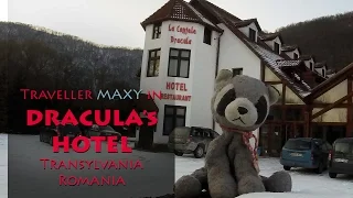 Traveller Maxy in Dracula's Hotel - Transylvania, Romania