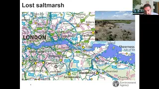 Estuary Edges: Replacing man made barriers with a variety of habitats webinar