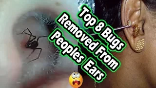 Top 10 Creatures And Bugs Removed From Peoples Ears(Spiders, Ants and Other Bugs)