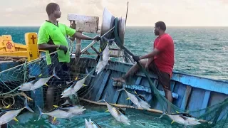 TRAWL NET FISHING VIDEOS