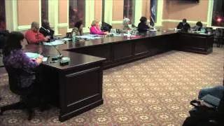 Newburgh City Council Meeting - March 24, 2014