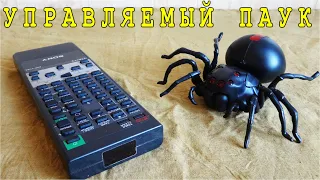 КАК TV пультом УПРАВЛЯТЬ БЕГУЩИМ ПАУКОМ 🚀 Реальные самоделки для детей