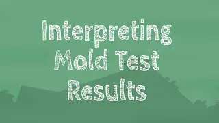 Interpreting Mold Test Results