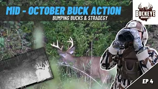 Mid-October Buck Action - 2021 Ohio Archery Season