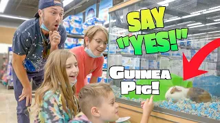 We Say YES to Parker for 24 HOURS & HE ASKS TO GET A GUINEA PIG!! *Sopo Squad Family*