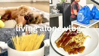 Living Alone in the Philippines: Life update, grocery shopping, cooking pasta & tonkatsu 🏡