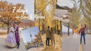 AUTUMN IN SOUTH KOREA - 7D6N ITINERARY