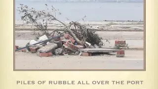 Earthquake Tsunami in Chile 16 Sep 2015 (Coquimbo)