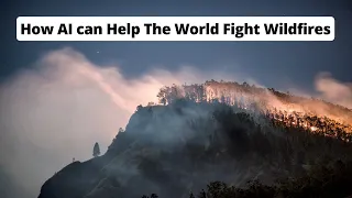 How AI can Help The World Fight Wildfires | World Economic Forum Annual Meeting