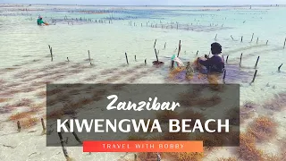 Kiwengwa Beach Review 🇹🇿 | Dream Sensations in Zanzibar