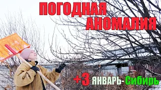 ПОГОДНАЯ АНОМАЛИЯ.  ИЗ ГОРОДА В ДЕРЕВНЮ 455 серия