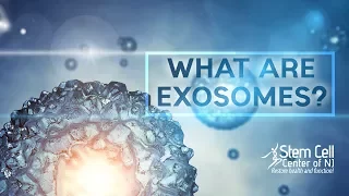 What Are Exosomes