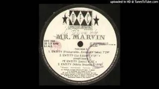 Mr. Marvin -- Entity (Fitzcarraldo ... Extasy Of Love)