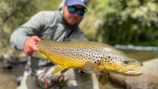 Best Trout Fishing River In the World? Probably!
