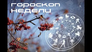 🍑 Гороскоп на НЕДЕЛЮ с 20 по 26 февраля всех знаков зодиака | 2023