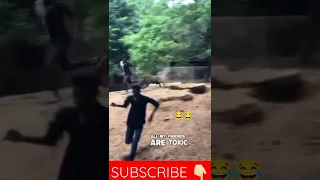 Wild boar attack in zoo | Wild pig attack on human 😂