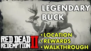 Red Dead Redemption 2 - Legendary Buck (Location, Rewards, Walkthrough)