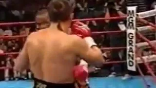 Zab Judah 2001 knockout