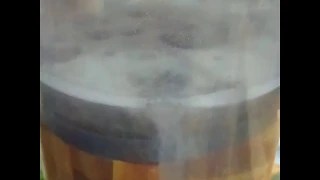 A quick video of wood in the vacuum chamber