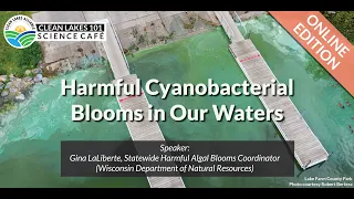 Clean Lakes 101: Harmful Cyanobacterial Blooms in Our Waters