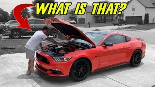 FRIEND BOUGHT A 2016 MUSTANG GT - BUT HE DIDN'T KNOW IT HAD THESE "SPECIAL" UPGRADES