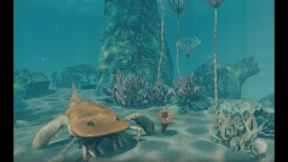 The Secrets of the Ancient Sea - 360 degree animation