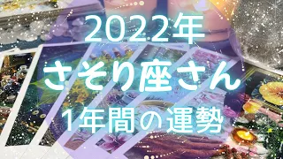 2022年間運勢✴️さそり座さん♏️1〜9月右肩上がり！やりたいことだけに注力して絶好の運気がやってくる一年🔮【全体運】