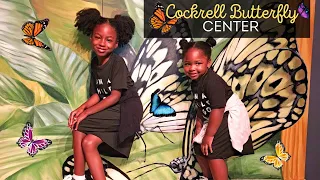🦋Unbelievable Butterfly Invasion at Cockrell Butterfly Center